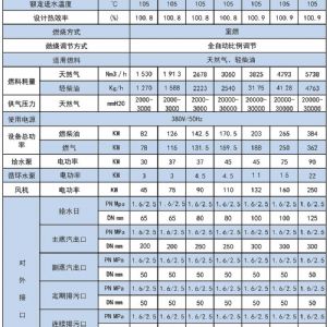 SZS系列全自動燃?xì)庹羝仩t