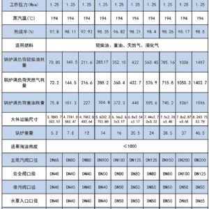 WNS系列燃油(燃氣)蒸汽鍋爐